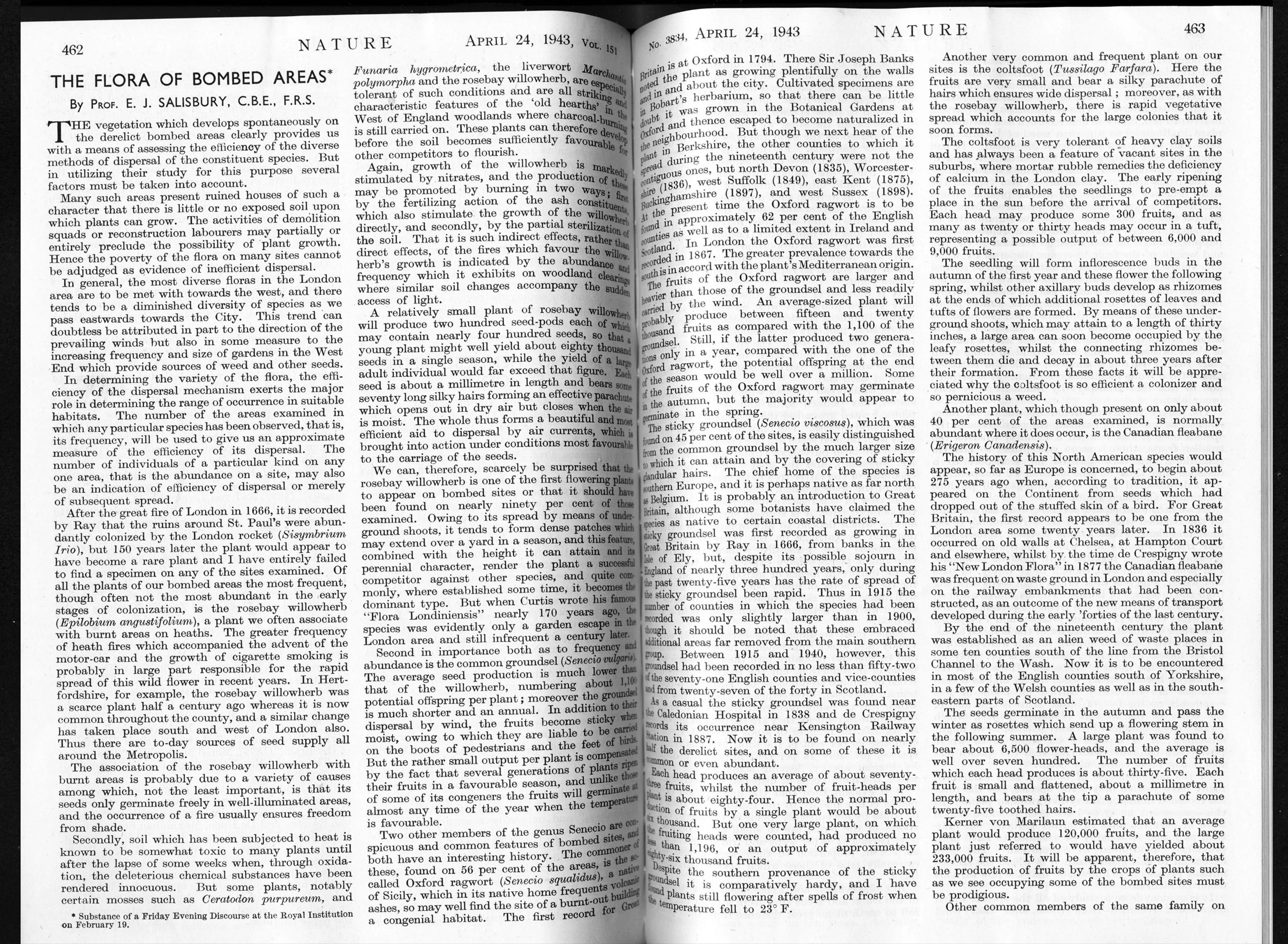 Page 1 and 2: Salisbury, E. J. “The Flora of Bombed Areas.” Nature 151, no. April 24 (1943).