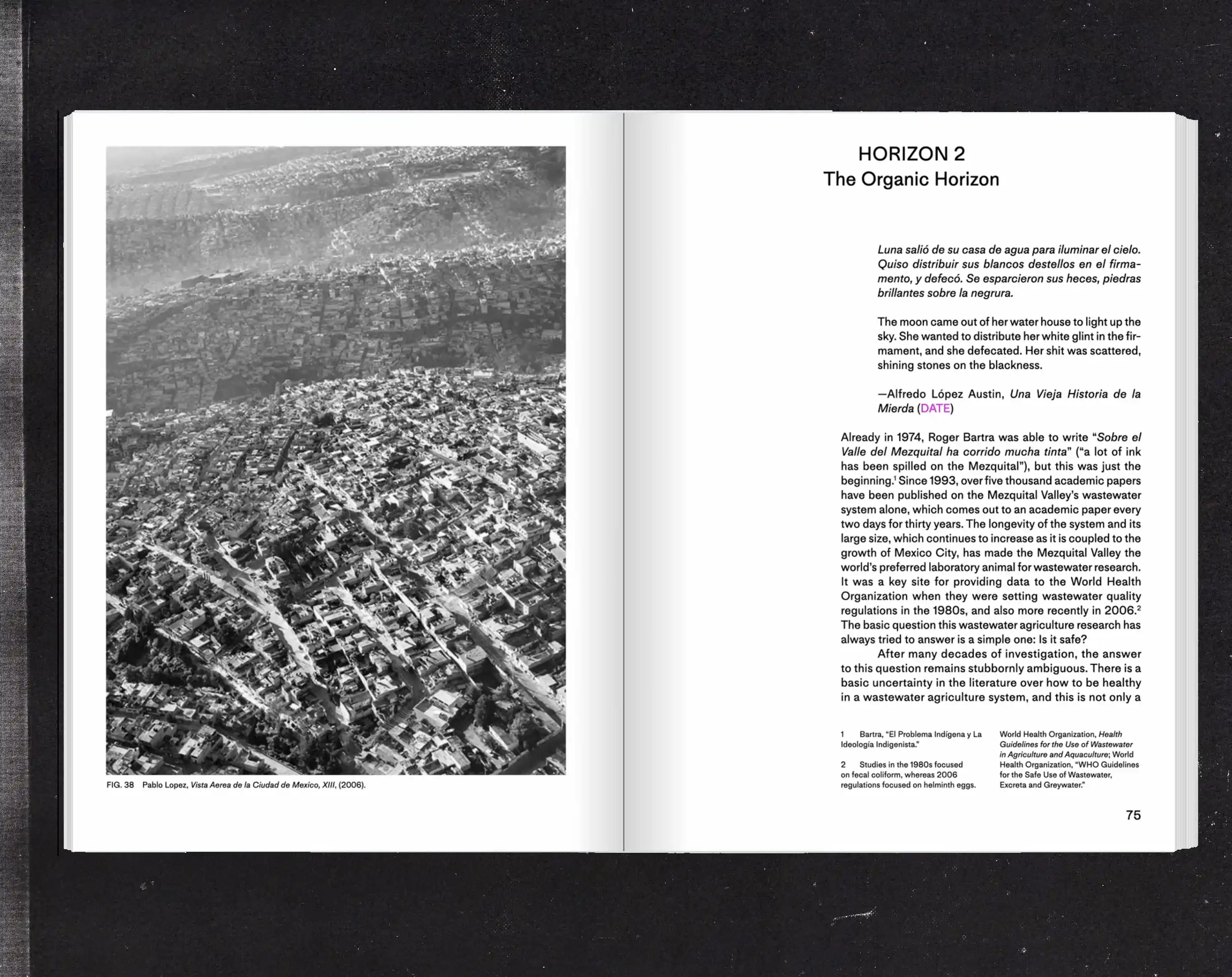 Thinking Through Soil