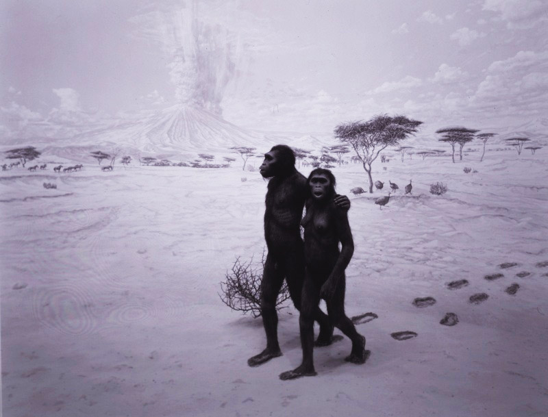 Figure 3: Hiroshi Sugimo, Earliest Human Relatives Photo 81 x 71 cm